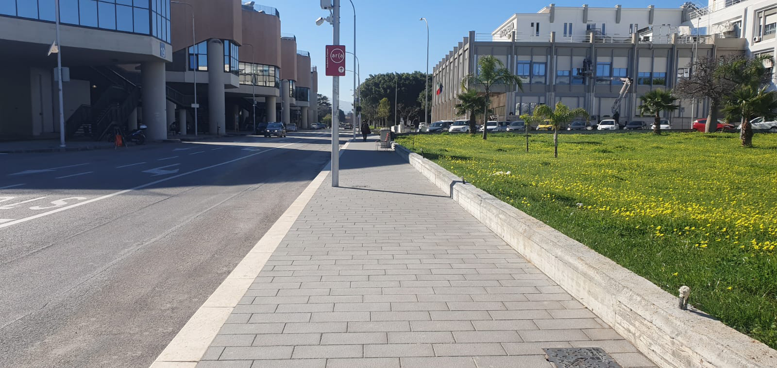 Università  degli studi di Palermo